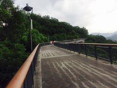 -金鸡山公园