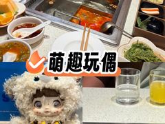 -海底捞火锅(吾悦国际广场店)