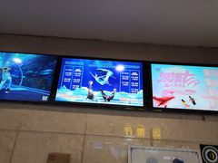 -成都浩海立方海洋公园