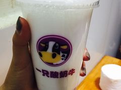 -一只酸奶牛(奎星楼店)