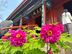 -红螺寺