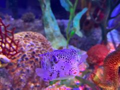 -沈阳海洋探索中心