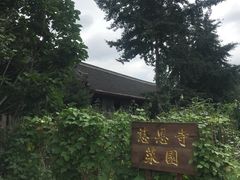 -慈恩寺