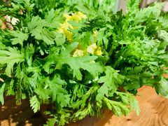 -十六蒲(桂林路店)