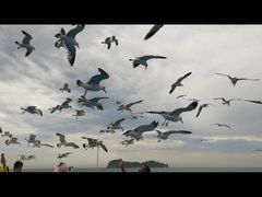 -海驴岛(荣成市)
