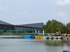 -上海长兴岛郊野公园