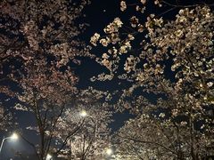 -幕燕滨江·长江观音景区