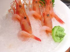 -山葵家·创意料理(宁波来福士店)