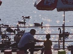 -艾溪湖湿地公园