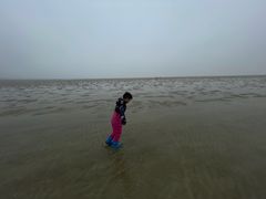 -北海金海湾红树林生态旅游区