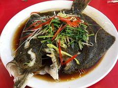 清蒸多宝鱼-张会海鲜饭店(东戴河店)