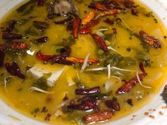 -九毛九西北菜(大东海店)