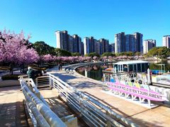 -新江湾城公园