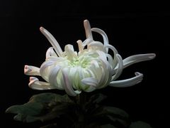 -汇龙潭