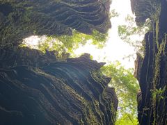 -梭布垭石林景区