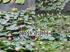 -庾园