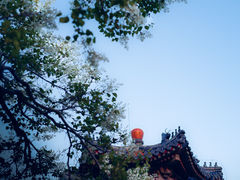 -天坛公园