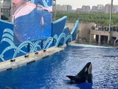-上海海昌海洋公园