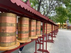 -护国法轮寺