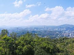 -板樟山森林公园