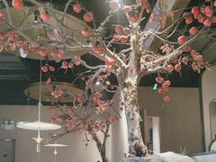 -佬肥猫(国华广场店)