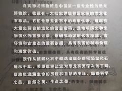 -自贡恐龙博物馆