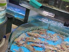 -徐记海鲜(阿波罗店)