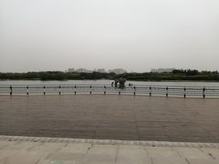 -大兴滨河森林公园