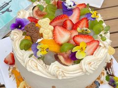 -Dark Horse·黑马蛋糕·低脂·低糖淡奶(金匙望湖大厦店)