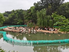 -宁波野生动物园