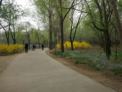 -廊坊市自然公园