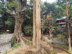 -南华禅寺