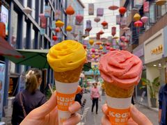 -iceason爱茜茜里·意大利健康冰淇淋(骑龙巷店)