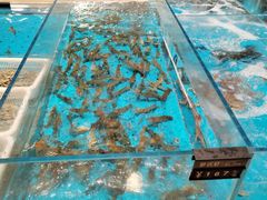 -艳阳天·非遗楚菜(武汉客厅店)