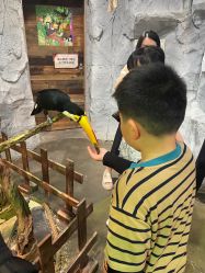 -Zoolung Zoolung动物主题公园(海信广场店)