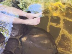 -天芳悦潭度假村温泉