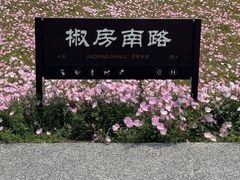 -汉长安城未央宫国家考古遗址公园