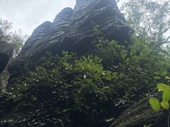 -梭布垭石林景区