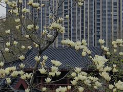 -堤角公园