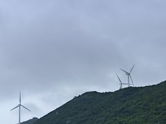 -东澳岛