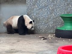 -秦岭欢乐世界