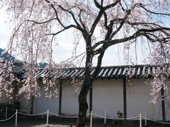 -醍醐寺