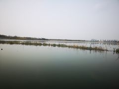 -天津东丽湖风景区