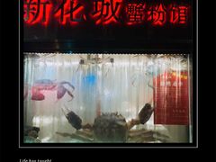-新花城蟹粉馆(乌鲁木齐店)