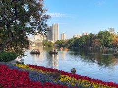 -荔湾湖公园