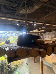 -Zoolung Zoolung动物主题公园(海信广场店)