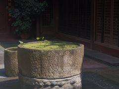 -海窝子古镇