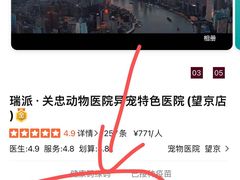 -瑞派·关忠动物医院·异宠专科·犬猫肿瘤·皮肤专科(望京店)