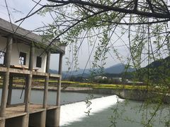 -江湾牛蹄馆