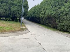 -秦始皇帝陵博物院-丽山园